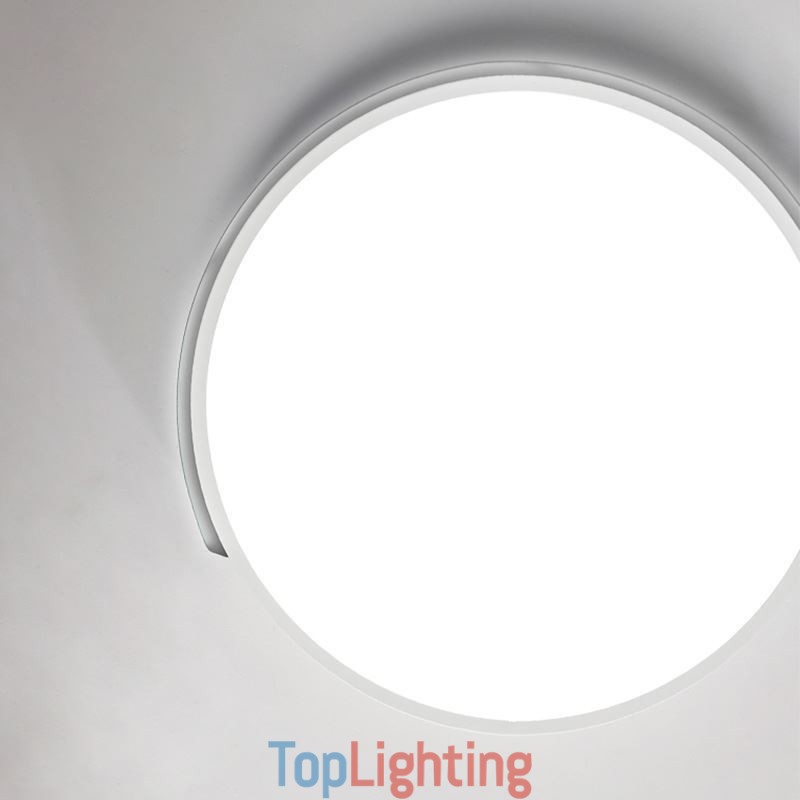 Modern Simple Flush Mount Circular Ceiling Light