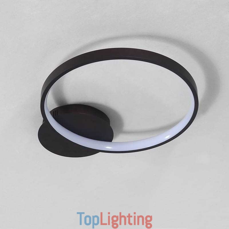 Nordic Style Flush Mount Circular Shape Ceiling Light