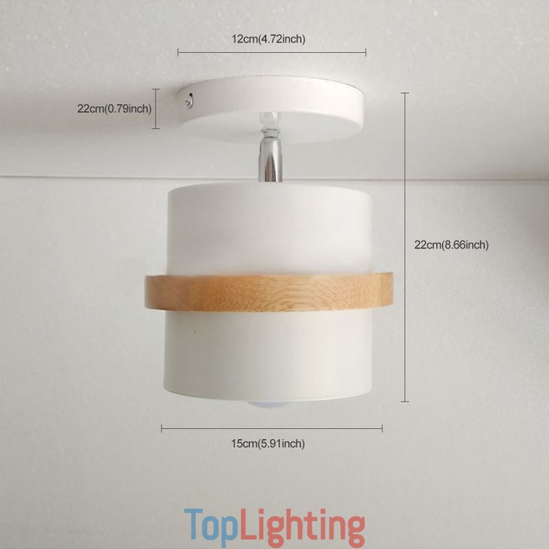 Round Macaron Spotlight Chromatic Ceiling Light(Single Light)