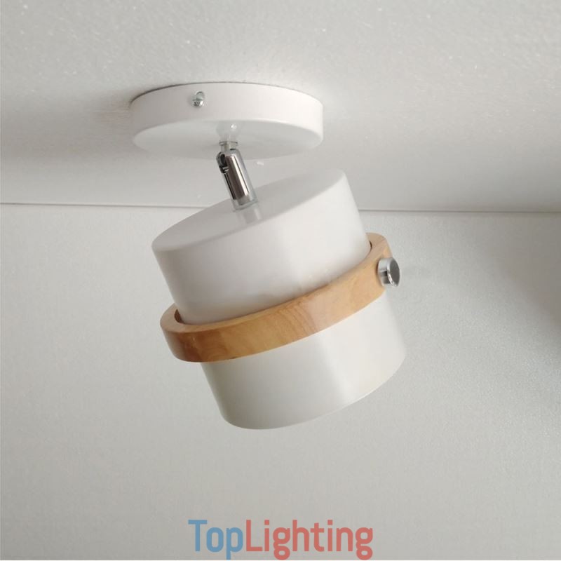 Round Macaron Spotlight Chromatic Ceiling Light(Single Light)