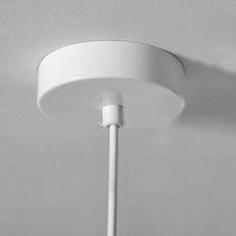 Resin Hanging Light Simple Ceiling Light