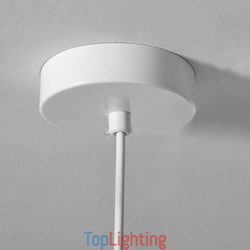 Resin Hanging Light Simple Ceiling Light