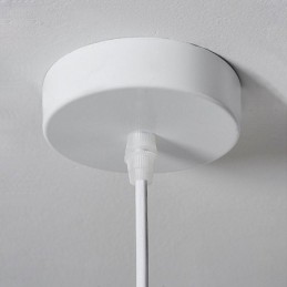 Resin Ceiling Light Hanging Light