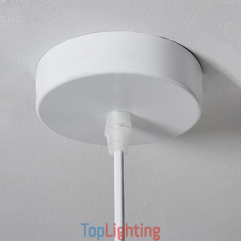 Resin Pendant Light Modern Simple Ceiling Lamp
