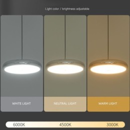 Ceiling Light Three Head Pendant Light