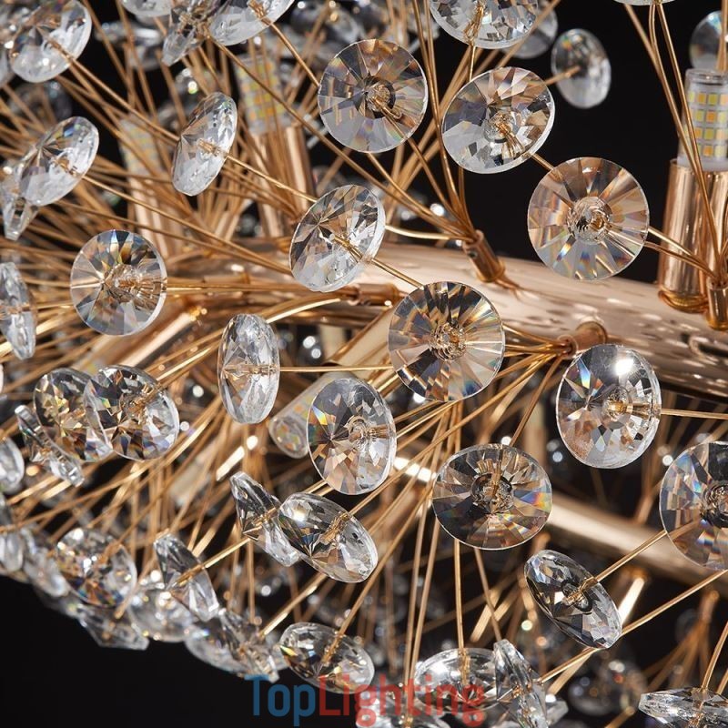 Pendant Light Modern Minimalist Wrought Iron Circular Sun Flower Ceiling Light