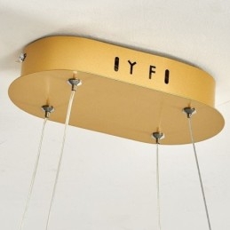 Stylish Pendant Light Aluminum Art Ceiling Light