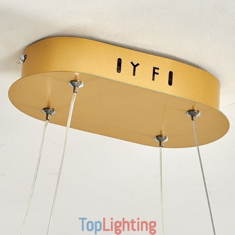Stylish Pendant Light Aluminum Art Ceiling Light