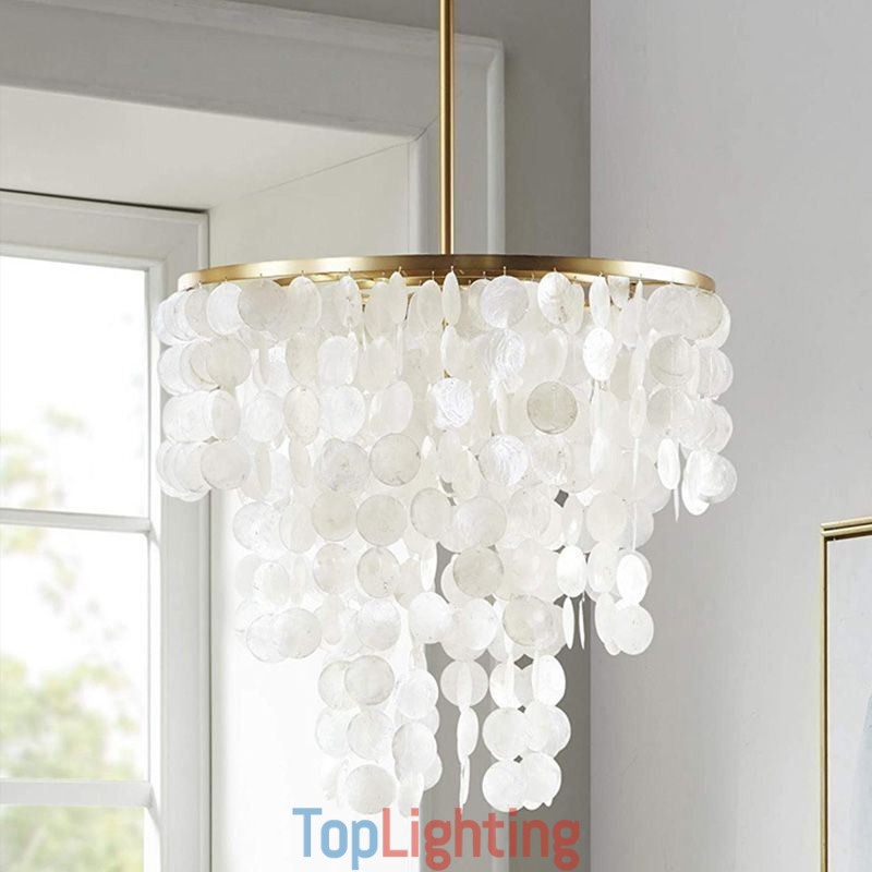 Contemporary Shell Hanging Ceiling Lighting