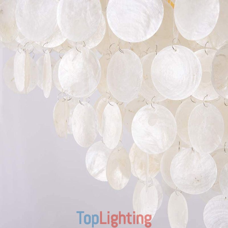 Contemporary Shell Hanging Ceiling Lighting