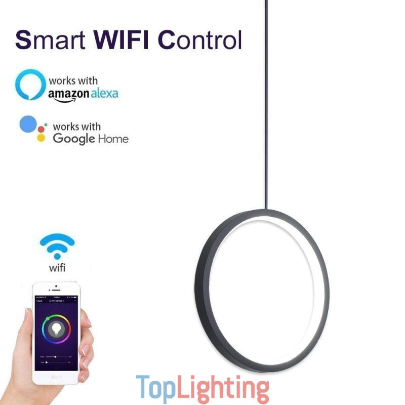 Minimalist Ring Pendant Light Decorative Ceiling Light