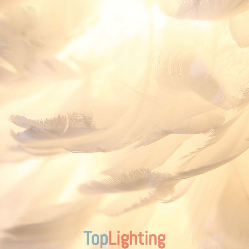Pretty Feather Decorative Pendant Light Fixture