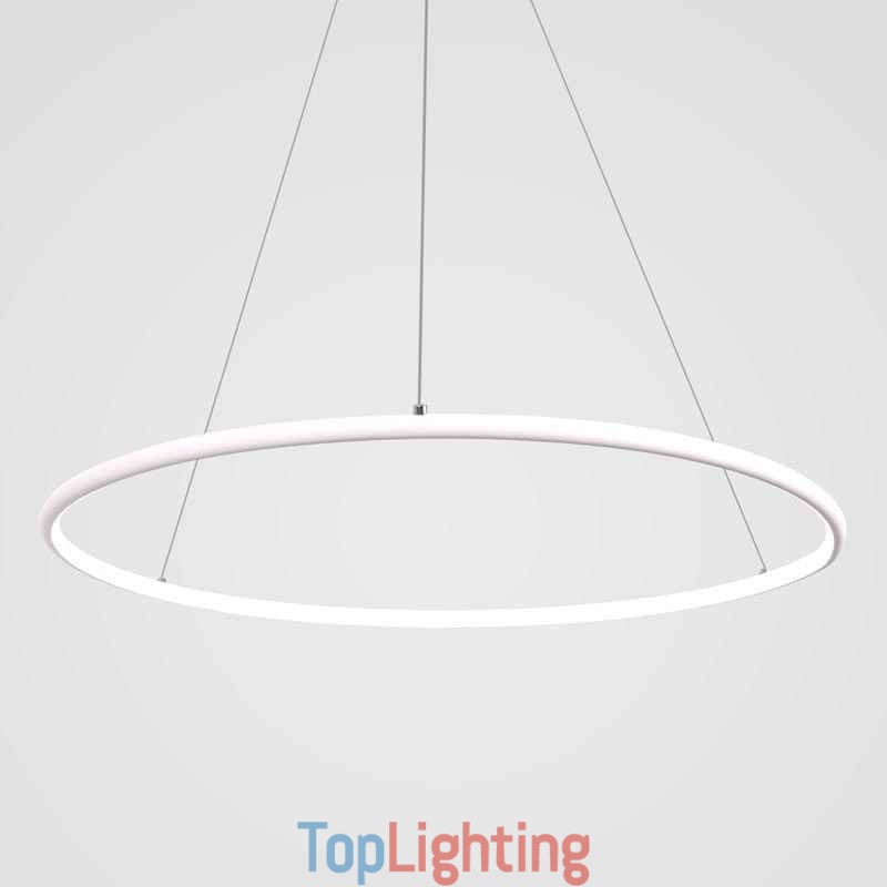 Modern Pendant Light Circle Lamp 60cm 80cm