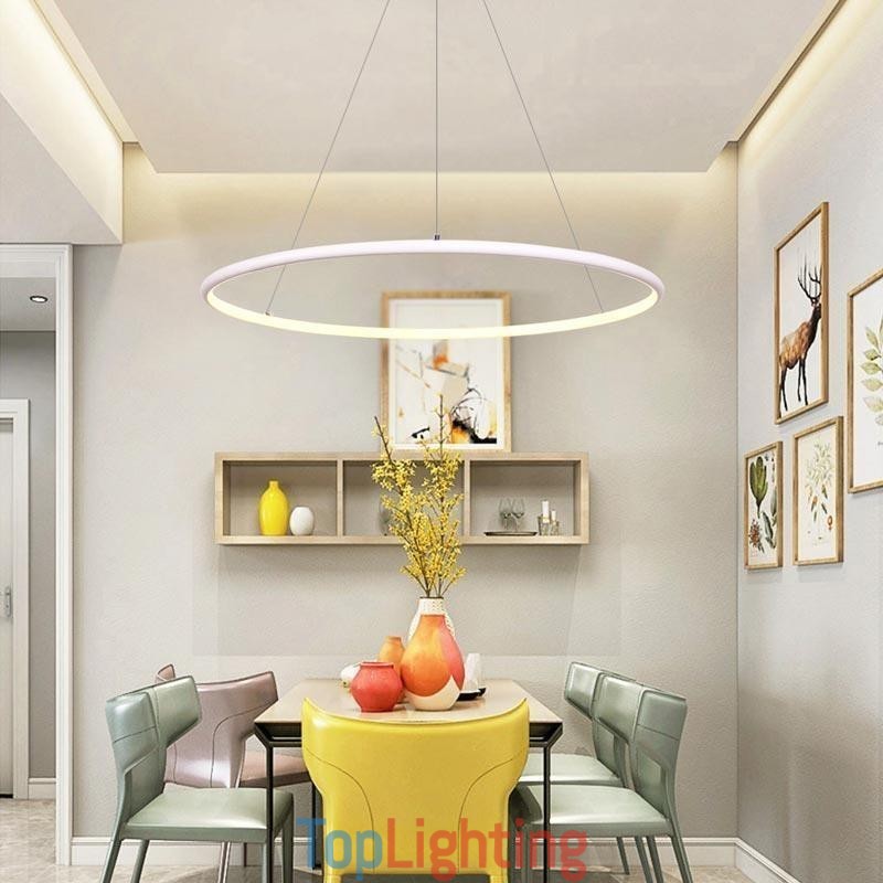 Modern Pendant Light Circle Lamp 60cm 80cm