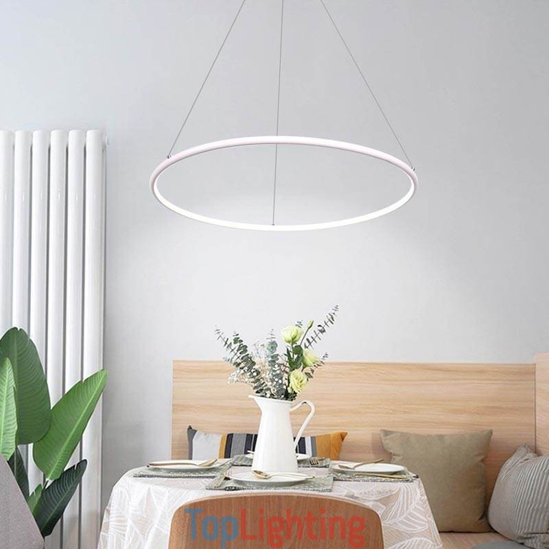 Modern Pendant Light Circle Lamp 60cm 80cm