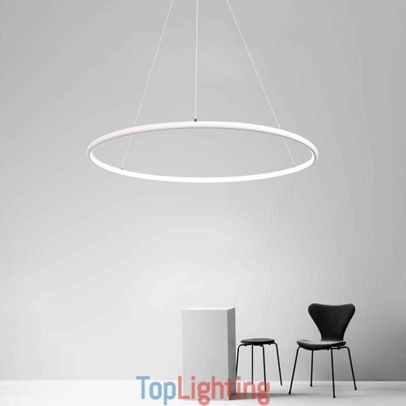 Modern Pendant Light Circle Lamp 60cm 80cm