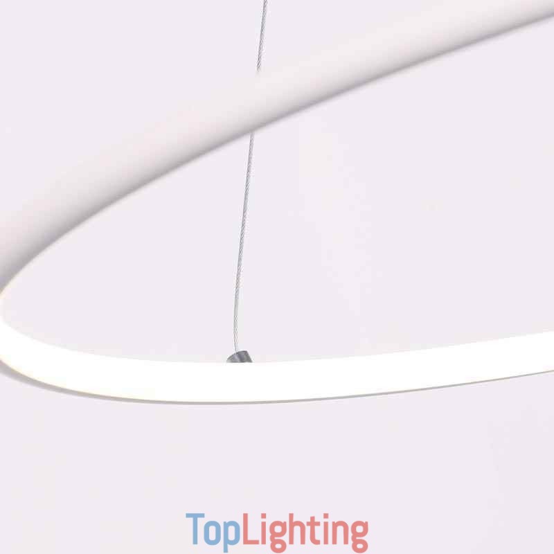 Modern Pendant Light Circle Lamp 60cm 80cm