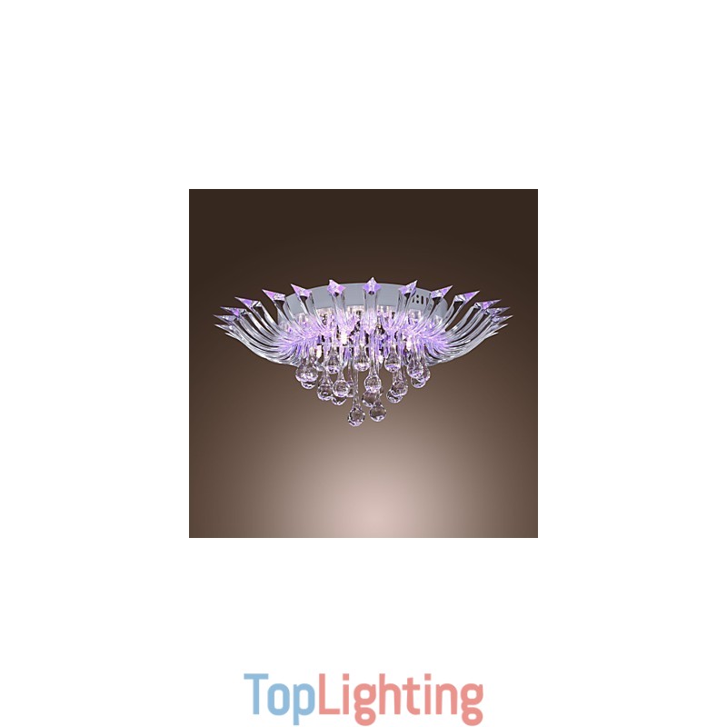 Modern Contemporary Others Flush Mount