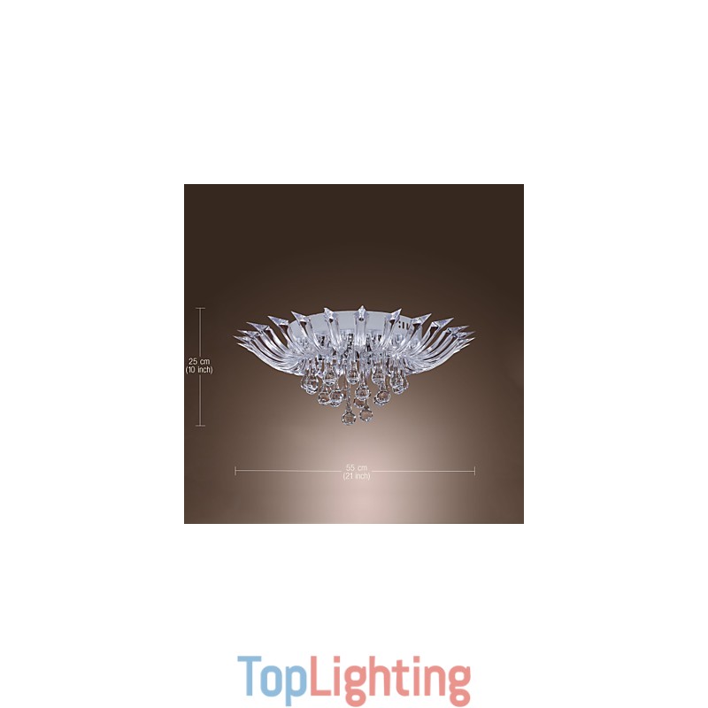 Modern Contemporary Others Flush Mount