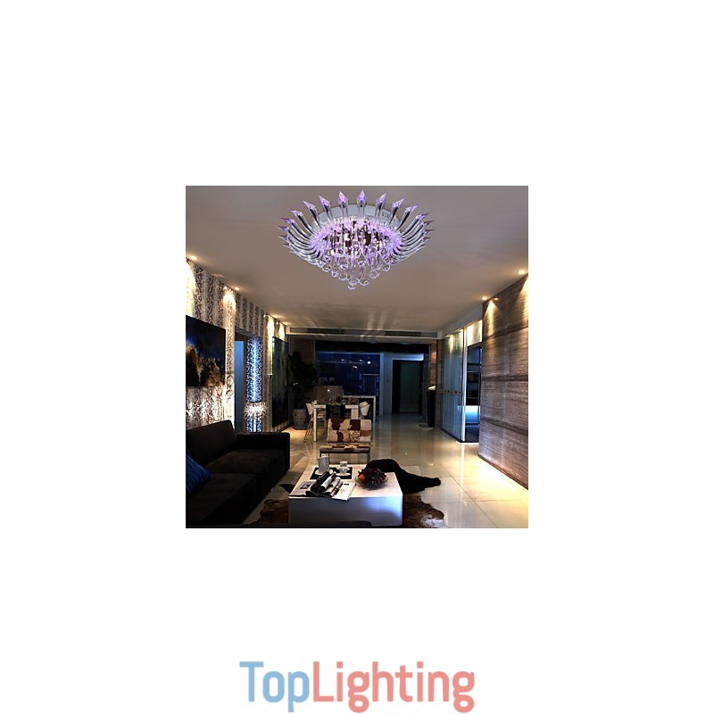 Modern Contemporary Others Flush Mount