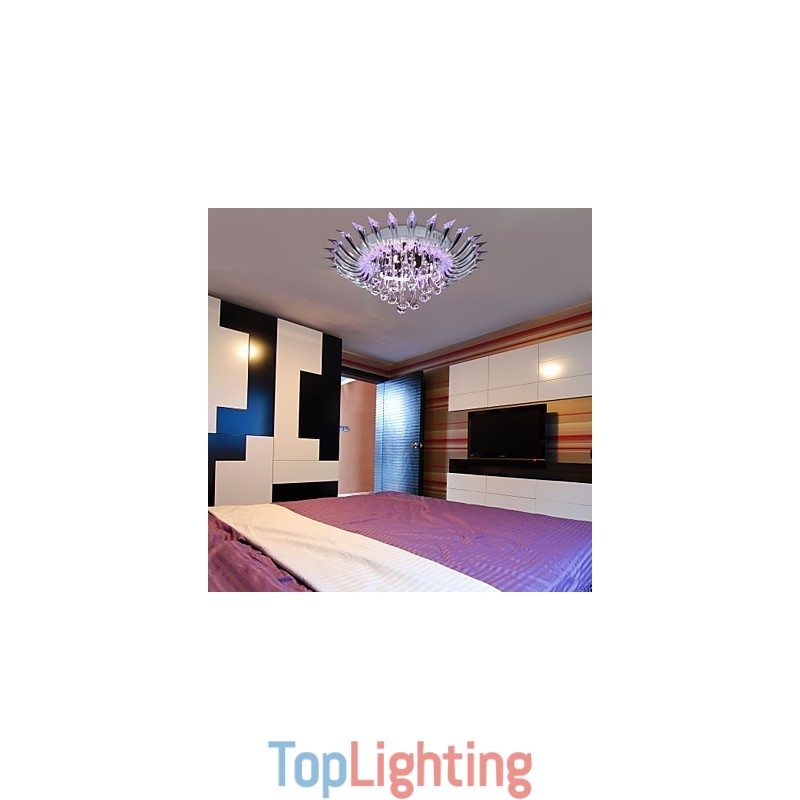 Modern Contemporary Others Flush Mount