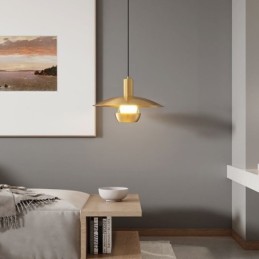 Brushed Gold Pendant Light Single Head Hanging Lamp