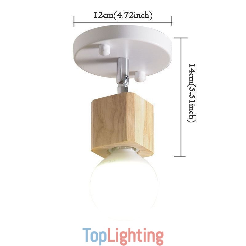 Simple Mini Spotlight Modern White Ceiling Light(Single Light)