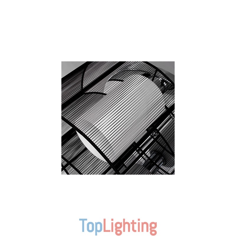 Ceiling Light Modern Design 2 Lights Black