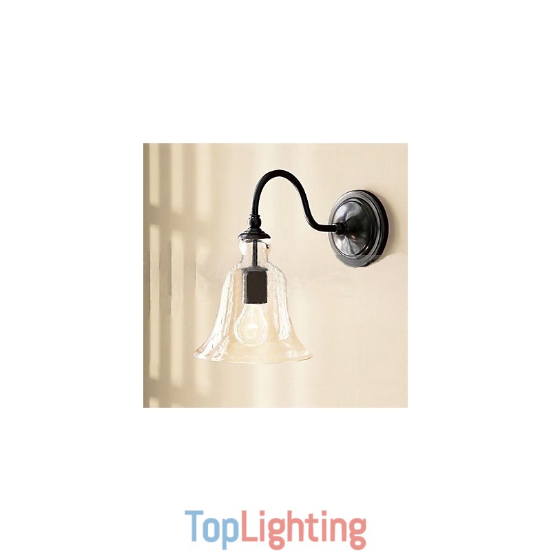 Nature Inspired Iron Wall Light with Transparent Glass Shade