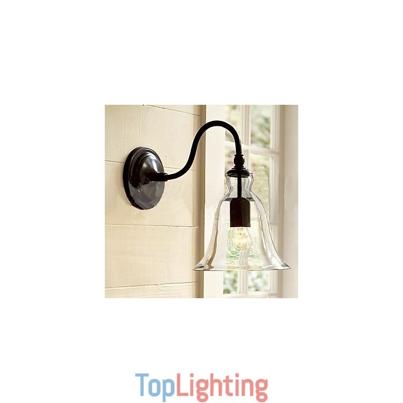 Nature Inspired Iron Wall Light with Transparent Glass Shade