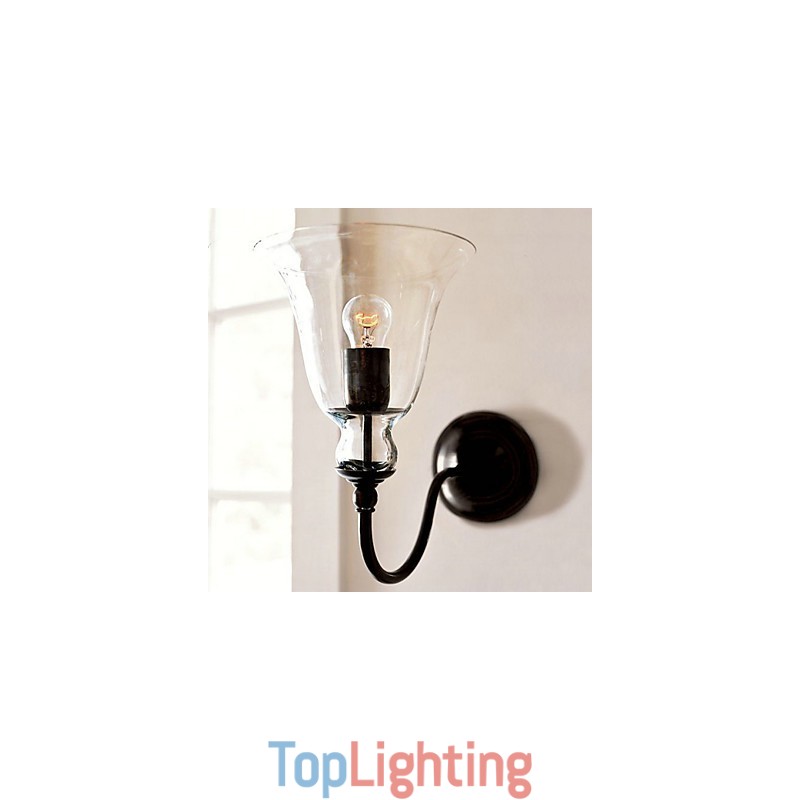 Nature Inspired Iron Wall Light with Transparent Glass Shade