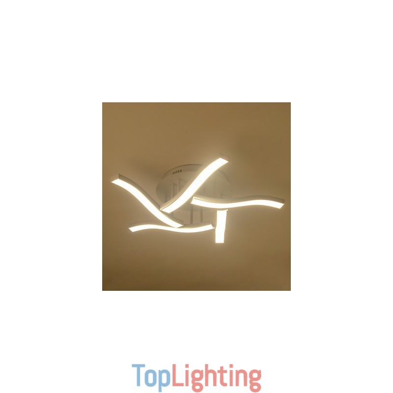 Modern Contemporary Flush Mount