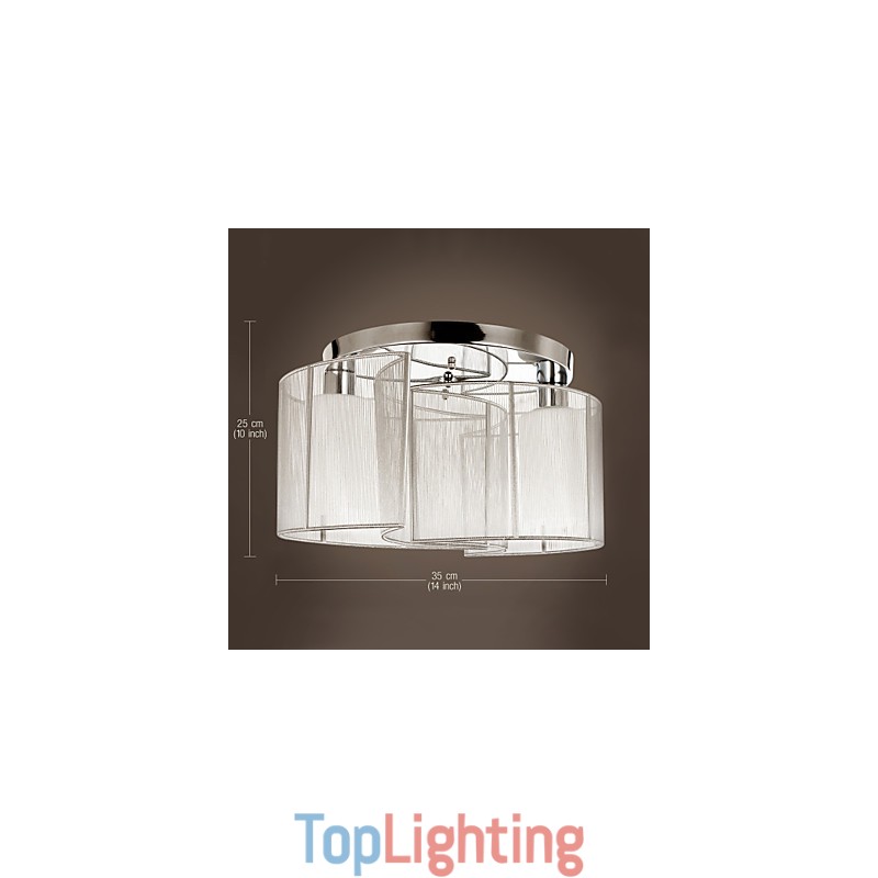 Ceiling Light Modern Design 2 Lights