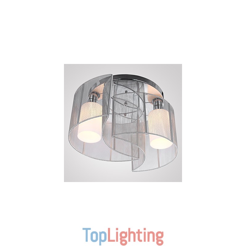 Ceiling Light Modern Design 2 Lights