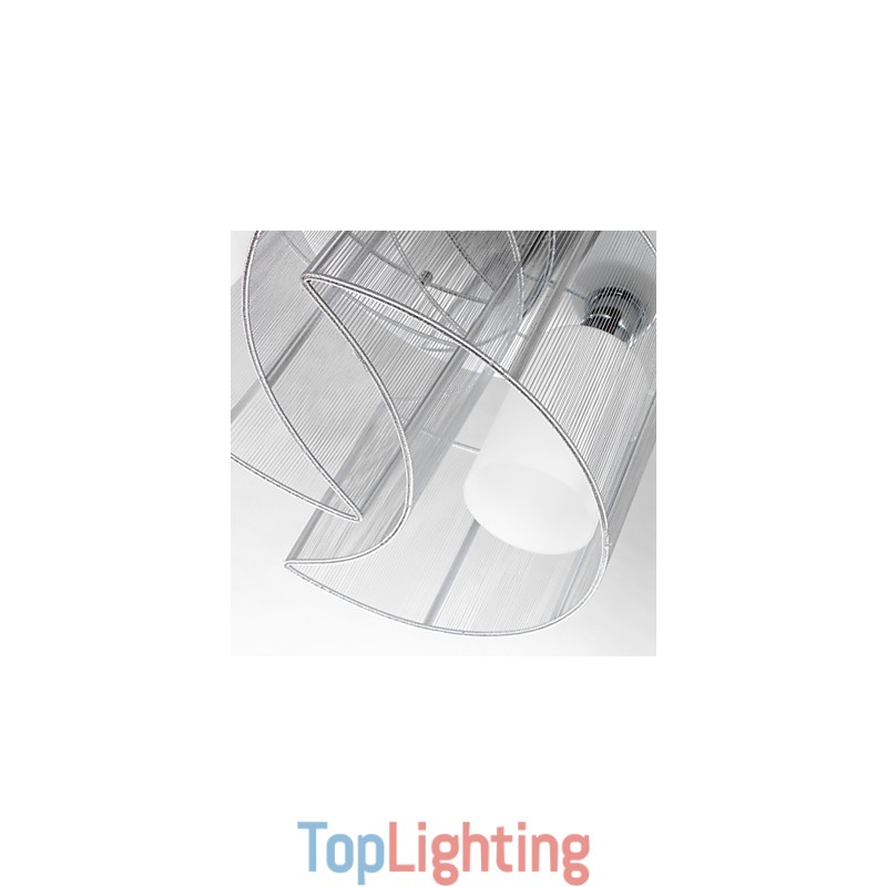 Ceiling Light Modern Design 2 Lights