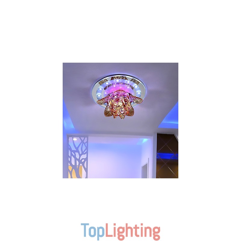 Circular Crystal Idea Ceiling Lamp Tube Light To Absorb Dome Lamp Light