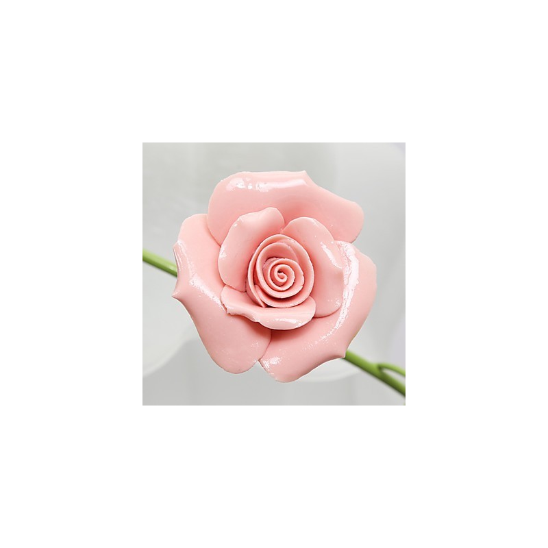 Valentine'S Day The Rose Garden Flowers And Plants Absorb Dome Light