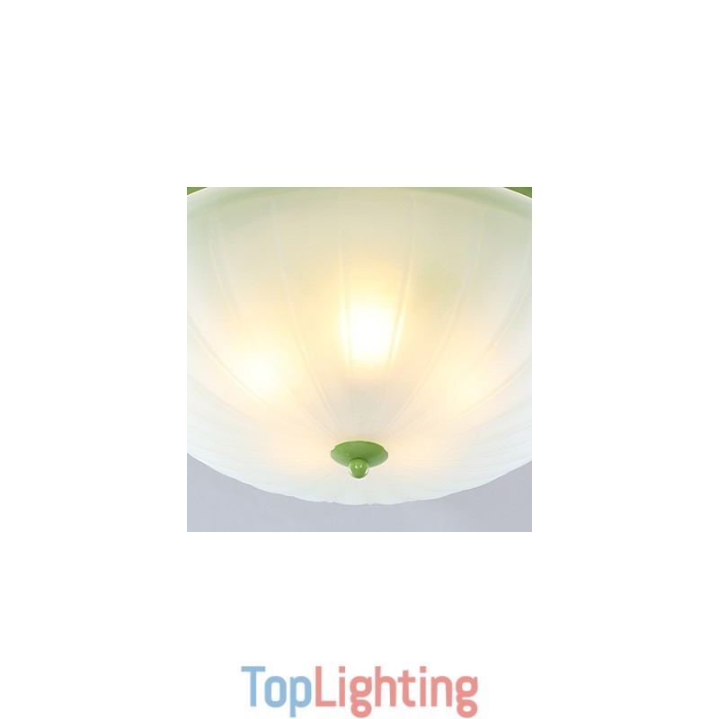 Valentine'S Day Garden Flowers And Plants Absorb Dome Light