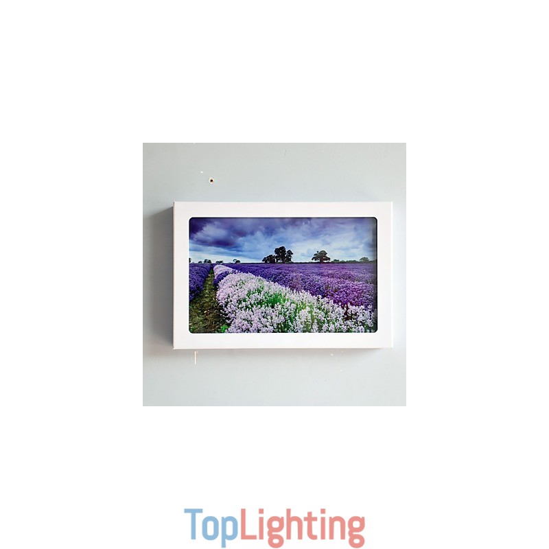 Integrated Modern Contemporary Modern Comtemporary Painting Feature for Ambient Light Wall Sconces