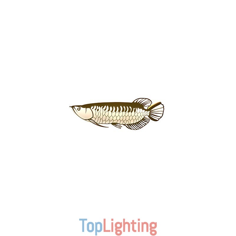 Modern Wall Lights Fish Shape Simplicity Style Acrylic Lighting Living Room Hallway Bedroom Hotel Rooms Decoration lighting