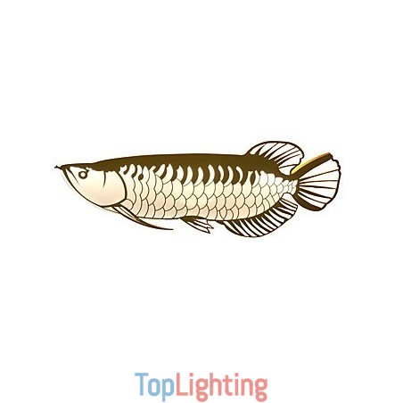Modern Wall Lights Fish Shape Simplicity Style Acrylic Lighting Living Room Hallway Bedroom Hotel Rooms Decoration lighting Modern Wall Lights Fish Shape Simplicity Style Acrylic Lighting Living Room Hallway Bedroom Hotel Rooms Decoration lighting