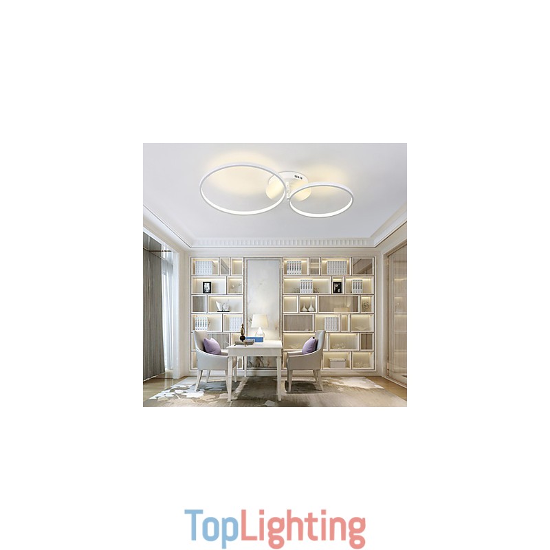 Modern Contemporary Flush Mount