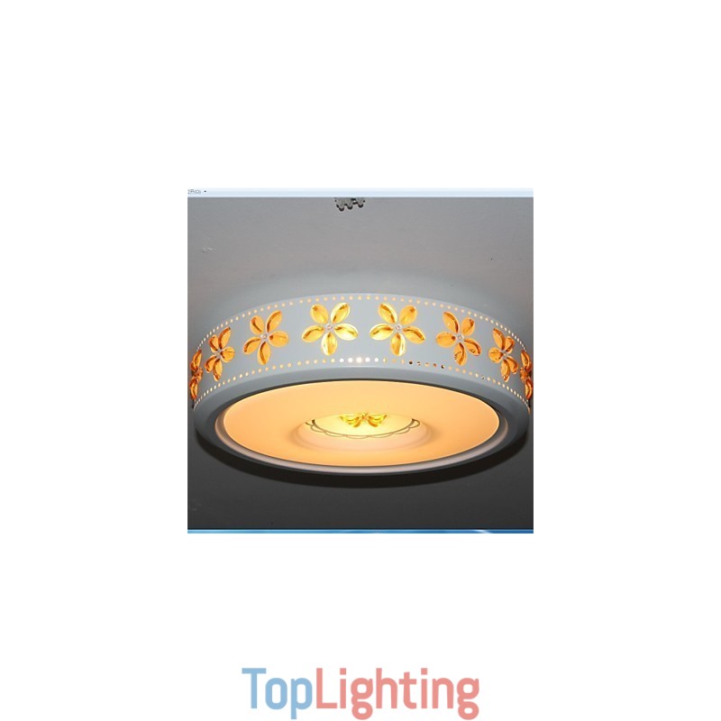 Modern Iron Shaped 2 Head Ceiling lamps