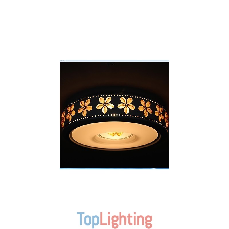 Modern Iron Shaped 2 Head Ceiling lamps
