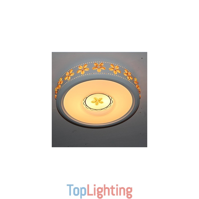 Modern Iron Shaped 2 Head Ceiling lamps