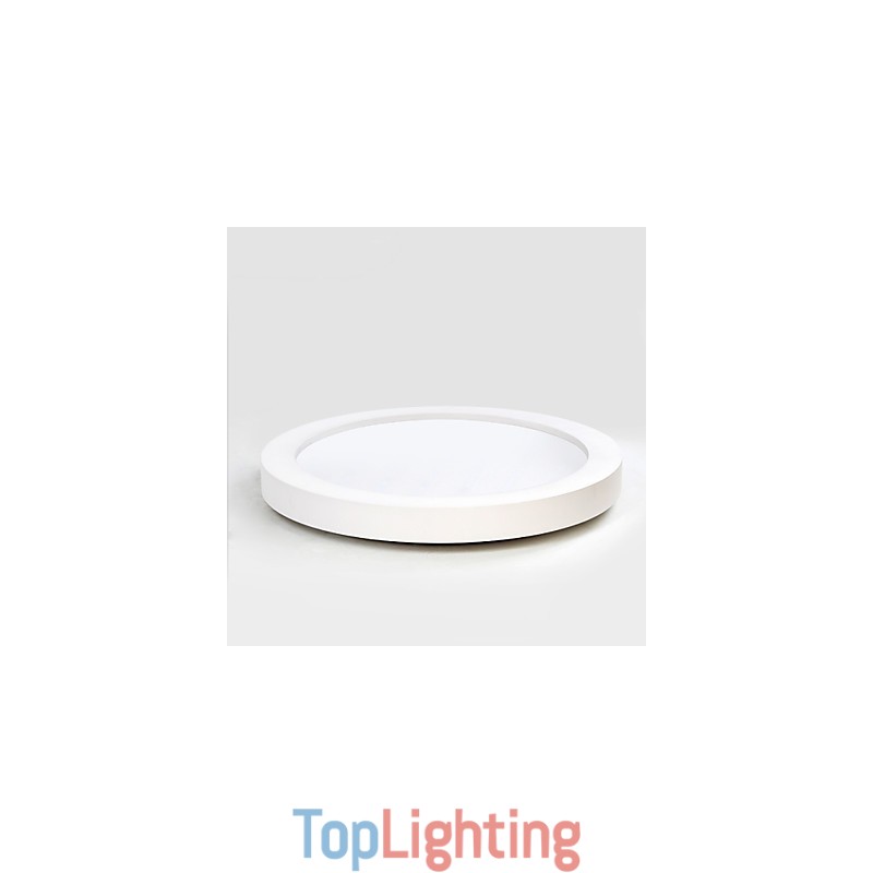 Modern Contemporary Decorative Design Ceiling Light