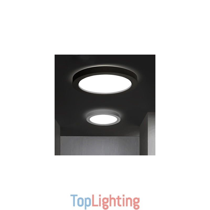 Modern Contemporary Decorative Design Ceiling Light