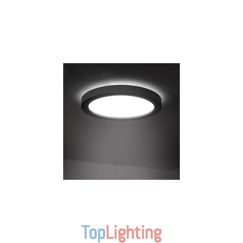 Modern Contemporary Decorative Design Ceiling Light