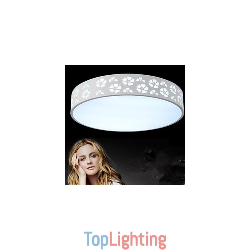Wrought Iron Hollow Out Plum Blossom Side Circular Dome Light