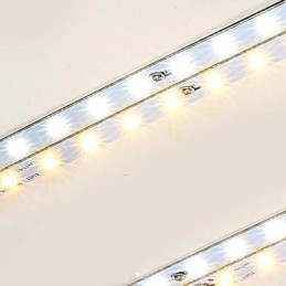 Flush Mount No Polar Light with Remote Control Modern Contemporary